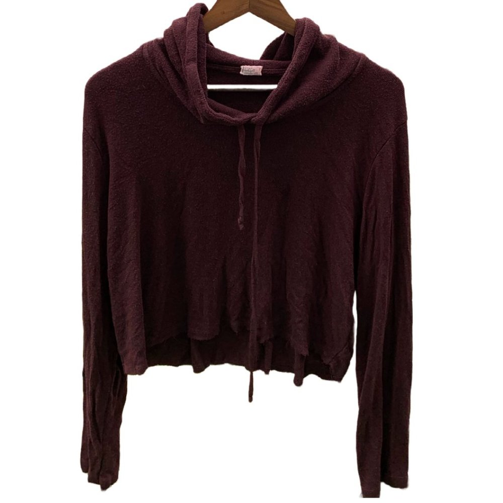 Maroon Cropped Knit Hoodie with Distressed Hem Brandy Melville